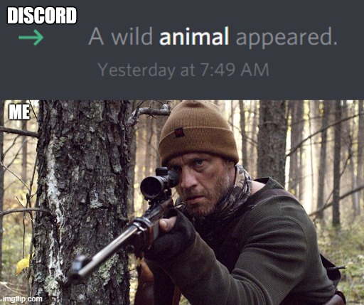 Wild animal | image tagged in animal,wild animal,discord,new user,hunting,hunting season | made w/ Imgflip meme maker