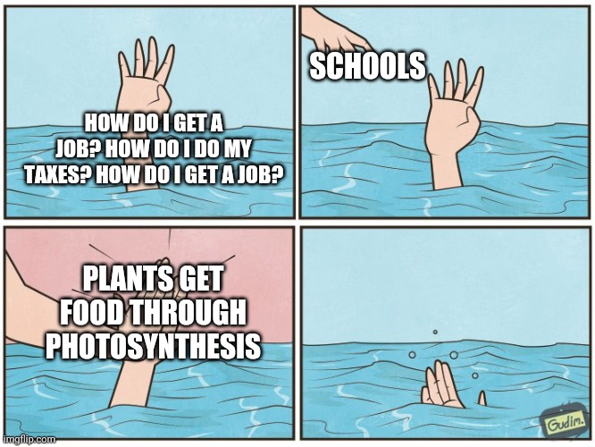 High five drown | SCHOOLS; HOW DO I GET A JOB? HOW DO I DO MY TAXES? HOW DO I GET A JOB? PLANTS GET FOOD THROUGH PHOTOSYNTHESIS | image tagged in high five drown | made w/ Imgflip meme maker