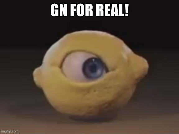 Omega Mart Lemon | GN FOR REAL! | image tagged in omega mart lemon | made w/ Imgflip meme maker