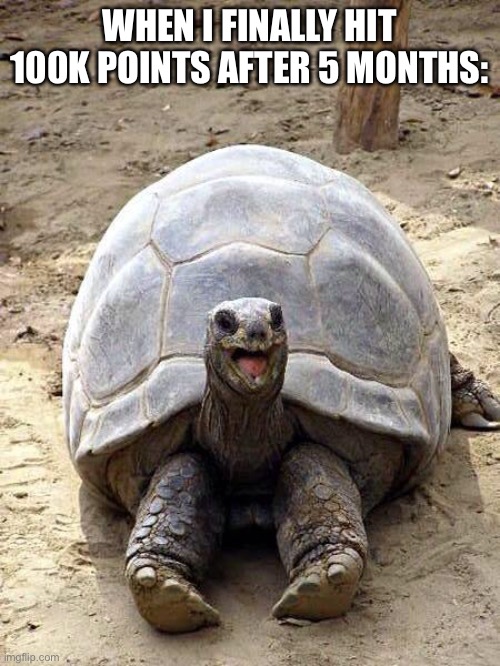 the tortoise is the speed i gain points at | WHEN I FINALLY HIT 100K POINTS AFTER 5 MONTHS: | image tagged in smiling happy excited tortoise | made w/ Imgflip meme maker