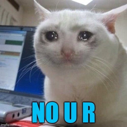 Crying cat | NO U R | image tagged in crying cat | made w/ Imgflip meme maker