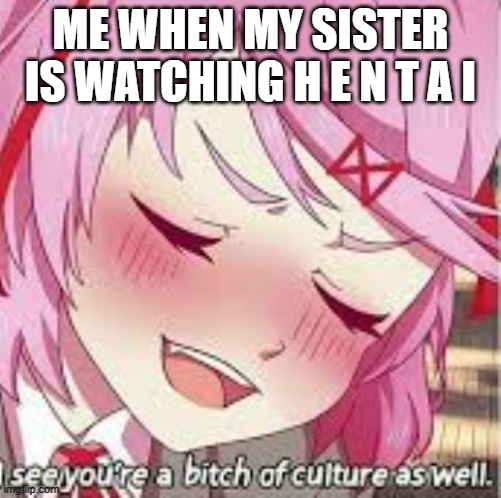 lol new temp | ME WHEN MY SISTER IS WATCHING H E N T A I | image tagged in i see your a bitch of culture as well | made w/ Imgflip meme maker