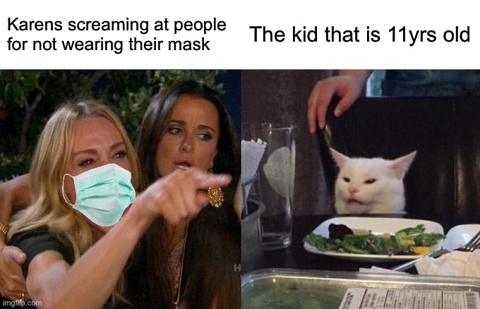 Woman Yelling At Cat | Karens screaming at people for not wearing their mask; The kid that is 11yrs old | image tagged in memes,woman yelling at cat | made w/ Imgflip meme maker