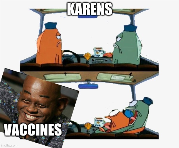vaccines | KARENS; VACCINES | image tagged in vaccines | made w/ Imgflip meme maker