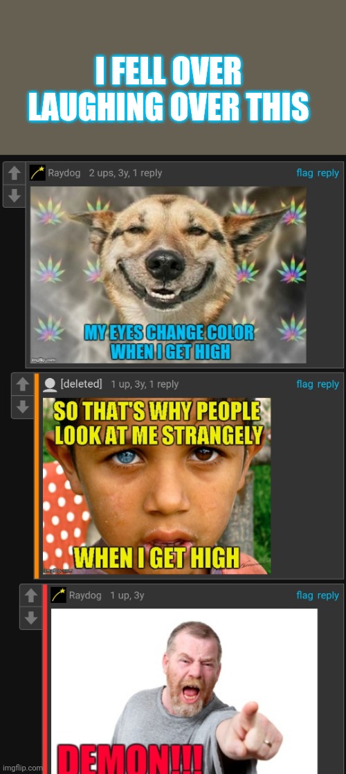 Raydogs funny | I FELL OVER LAUGHING OVER THIS | image tagged in raydog be haha | made w/ Imgflip meme maker