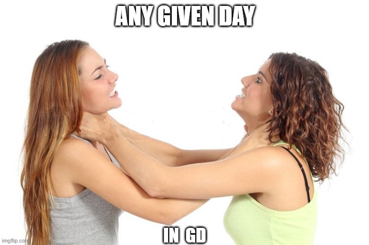 women fighting | ANY GIVEN DAY; IN  GD | image tagged in women fighting | made w/ Imgflip meme maker