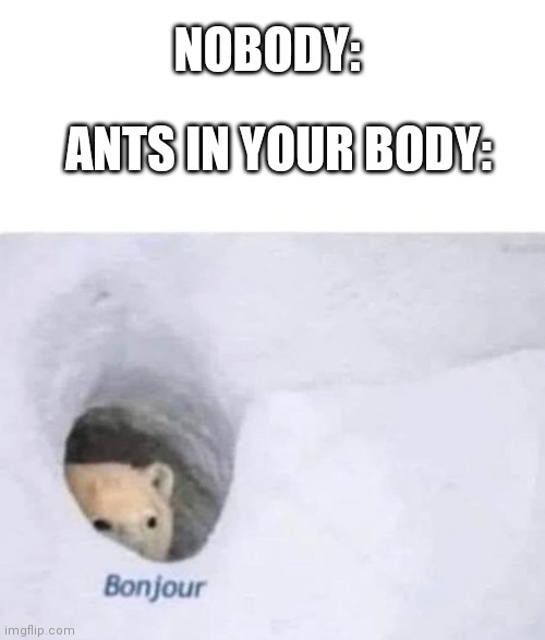 Bonjour | ANTS IN YOUR BODY:; NOBODY: | image tagged in bonjour | made w/ Imgflip meme maker