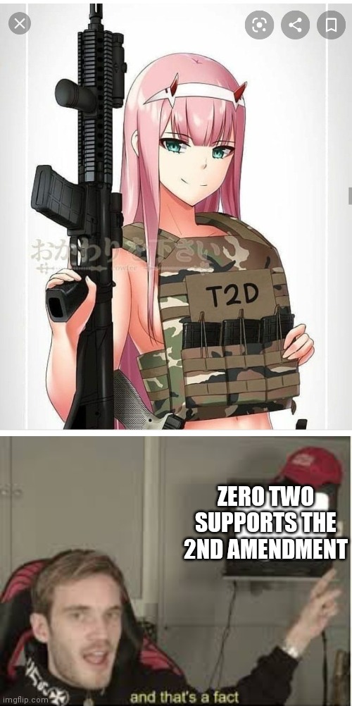 Thats my girl right there | ZERO TWO SUPPORTS THE 2ND AMENDMENT | image tagged in 2nd amendment zero two,and thats a fact | made w/ Imgflip meme maker