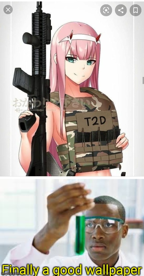 Read the tags (proof this is my wallpaper is in the comms | Finally a good wallpaper | image tagged in 2nd amendment zero two,finally | made w/ Imgflip meme maker