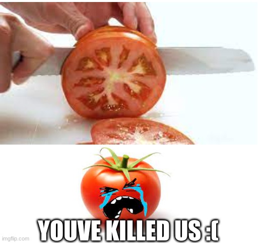 YOUVE KILLED US :( | image tagged in blank white template,tomato,killer,sad | made w/ Imgflip meme maker