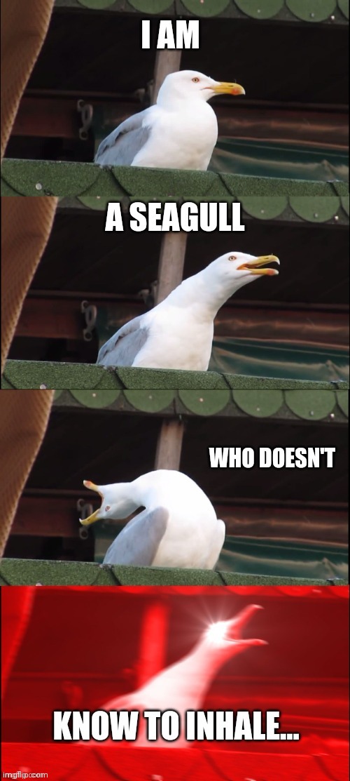 image tagged in inhaling seagull,memes | made w/ Imgflip meme maker