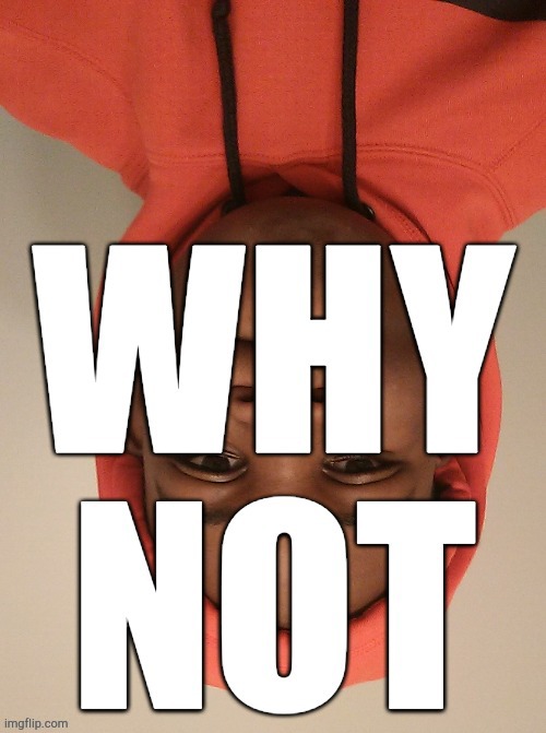 WHY NOT | image tagged in why not | made w/ Imgflip meme maker