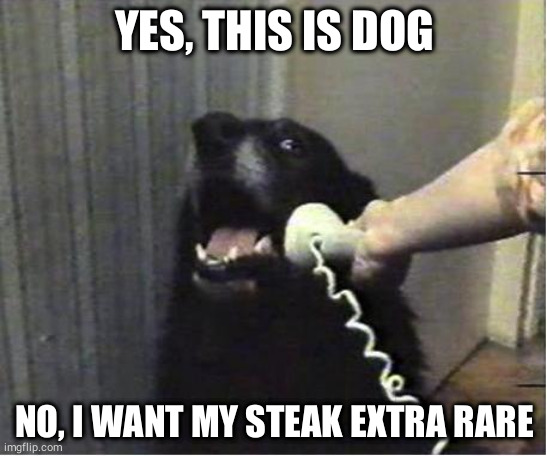 Yes this is dog | YES, THIS IS DOG; NO, I WANT MY STEAK EXTRA RARE | image tagged in yes this is dog | made w/ Imgflip meme maker