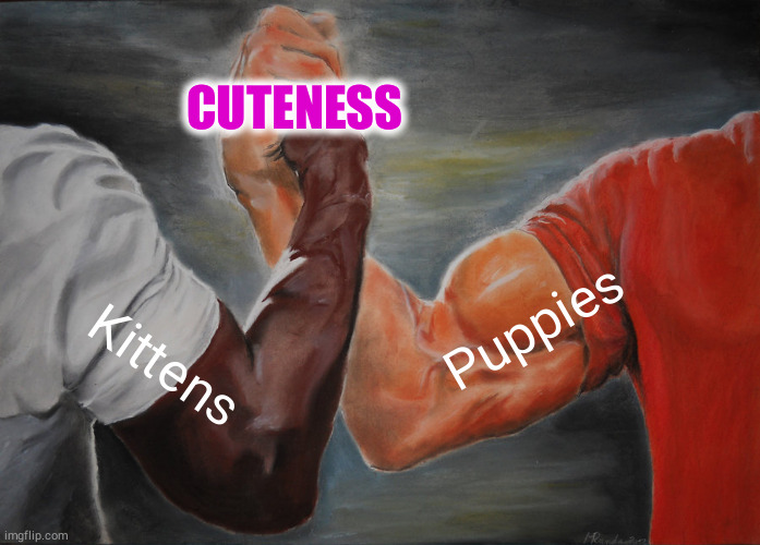 Epic Handshake Meme | CUTENESS; Puppies; Kittens | image tagged in memes,epic handshake | made w/ Imgflip meme maker