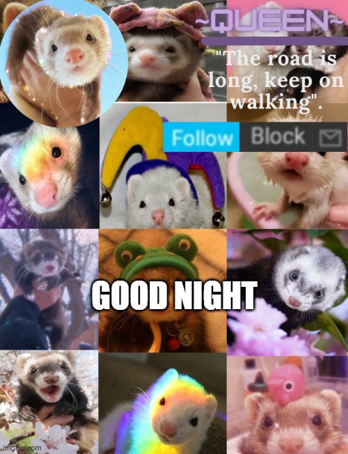 mhm..... | GOOD NIGHT | image tagged in 2nd ferret temp- | made w/ Imgflip meme maker