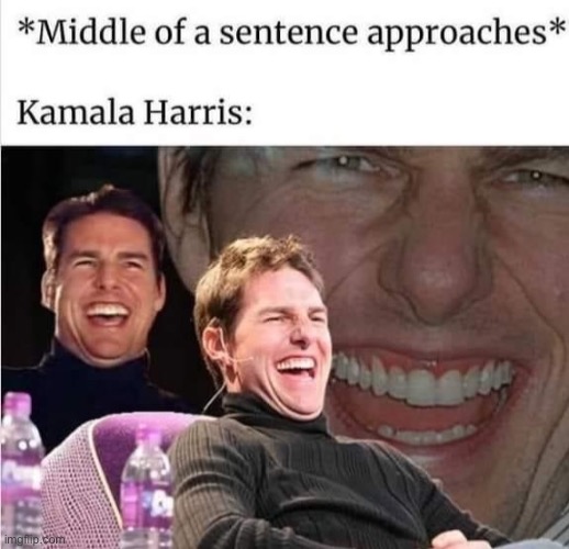 Kamala Harris is a rabid dog in heat | image tagged in kamala harris | made w/ Imgflip meme maker