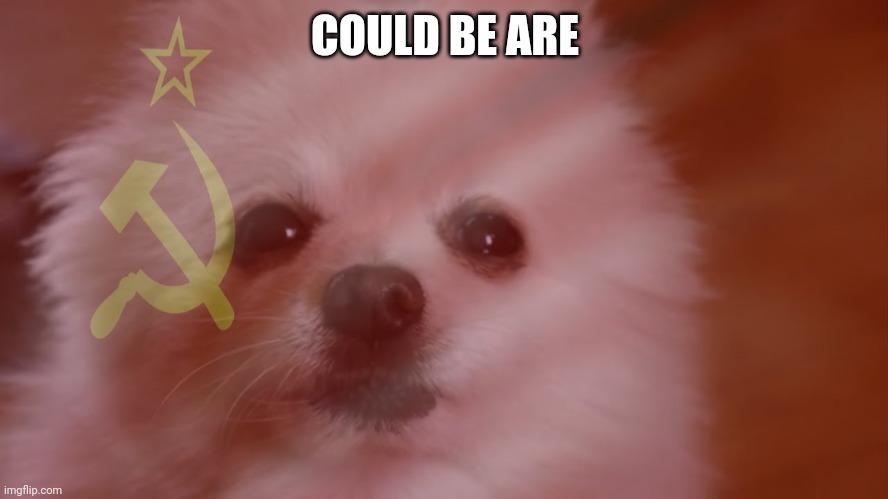 COULD BE ARE | made w/ Imgflip meme maker