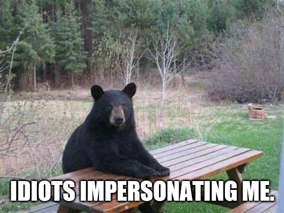 Bear sitting at picnic table | IDIOTS IMPERSONATING ME. | image tagged in bear sitting at picnic table | made w/ Imgflip meme maker