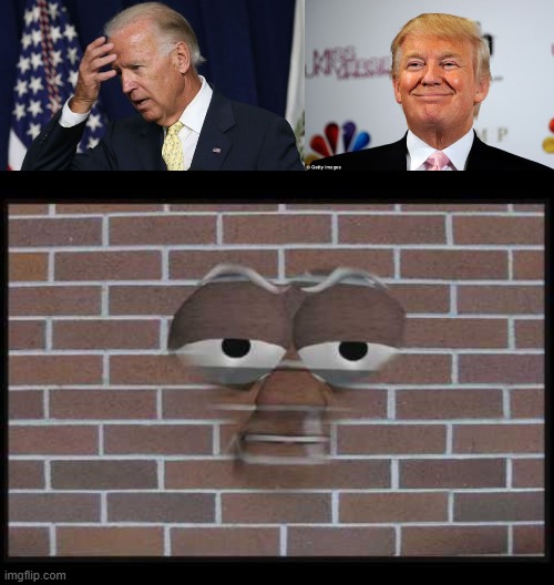 image tagged in joe biden worries,donald trump approves,talking brick wall | made w/ Imgflip meme maker
