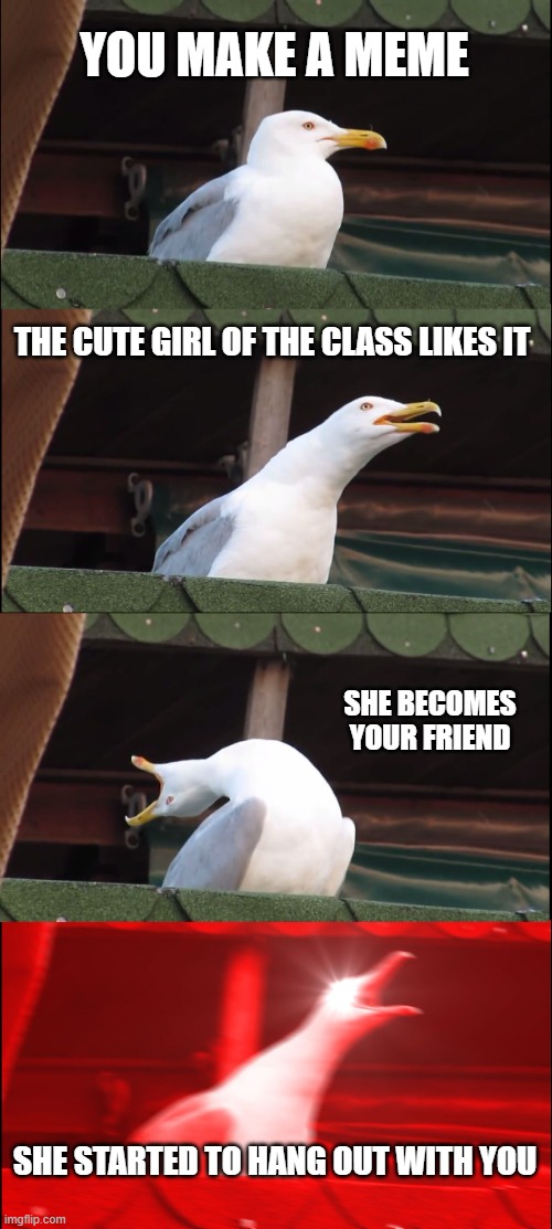 :) | YOU MAKE A MEME; THE CUTE GIRL OF THE CLASS LIKES IT; SHE BECOMES YOUR FRIEND; SHE STARTED TO HANG OUT WITH YOU | image tagged in memes,funny memes,meme,funny meme,dank memes,dank meme | made w/ Imgflip meme maker