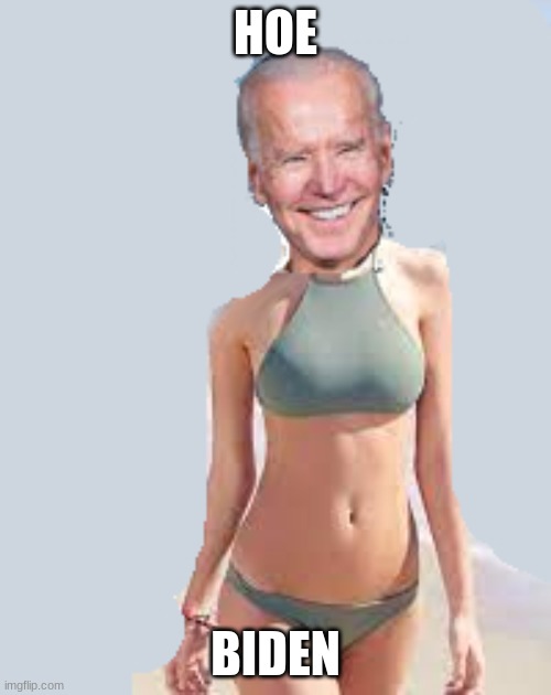 Need I say More? | HOE; BIDEN | image tagged in hoe biden,funny | made w/ Imgflip meme maker