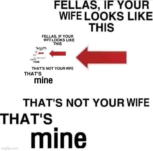 MY wife | image tagged in my wife | made w/ Imgflip meme maker