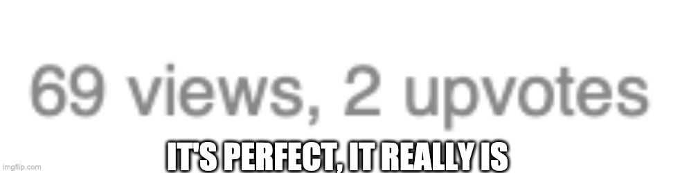 IT'S PERFECT, IT REALLY IS | image tagged in memes | made w/ Imgflip meme maker