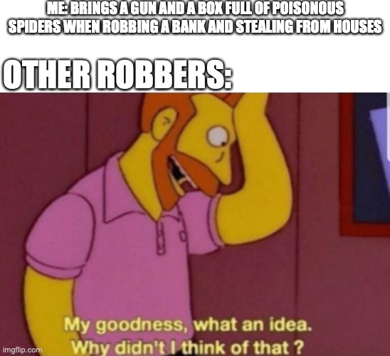 when your smarter than a robber | ME: BRINGS A GUN AND A BOX FULL OF POISONOUS SPIDERS WHEN ROBBING A BANK AND STEALING FROM HOUSES; OTHER ROBBERS: | image tagged in my god why didn't i think of that,memes | made w/ Imgflip meme maker