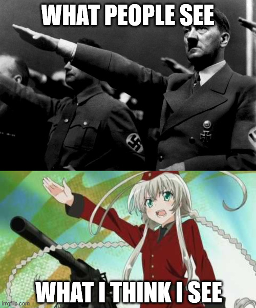 Heil Fhurer! | WHAT PEOPLE SEE; WHAT I THINK I SEE | image tagged in animeme | made w/ Imgflip meme maker