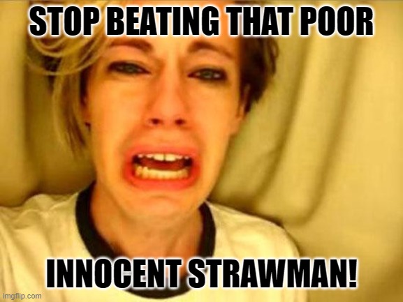 Leave Britney Alone | STOP BEATING THAT POOR; INNOCENT STRAWMAN! | image tagged in leave britney alone | made w/ Imgflip meme maker