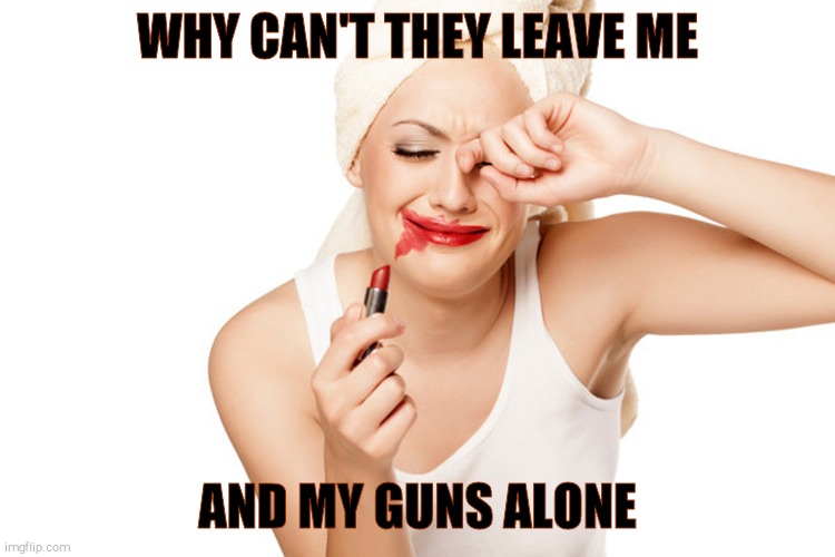 First World Problems Lipstick and WipeTears | WHY CAN'T THEY LEAVE ME AND MY GUNS ALONE | image tagged in first world problems | made w/ Imgflip meme maker