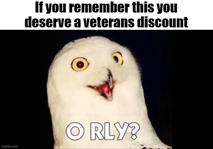 Do you remember this owl? | If you remember this you deserve a veterans discount | image tagged in veteran,memes,fun | made w/ Imgflip meme maker