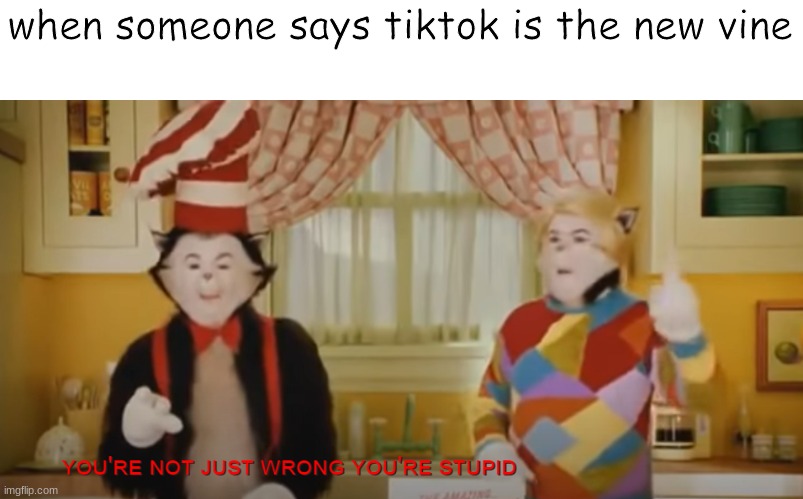 your not just wrong, your stupid | when someone says tiktok is the new vine | image tagged in your not just wrong your stupid | made w/ Imgflip meme maker