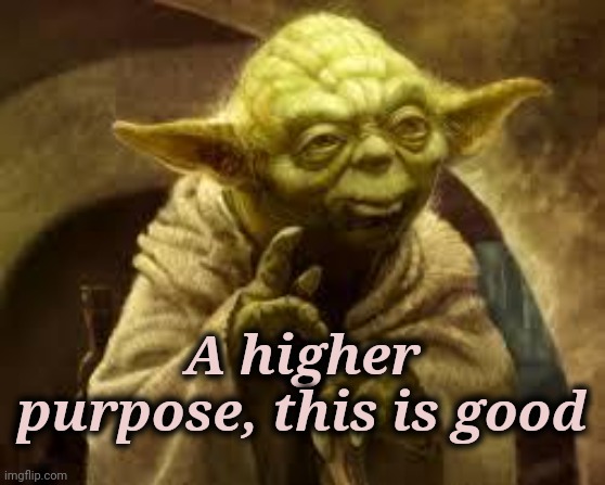 yoda | A higher purpose, this is good | image tagged in yoda | made w/ Imgflip meme maker