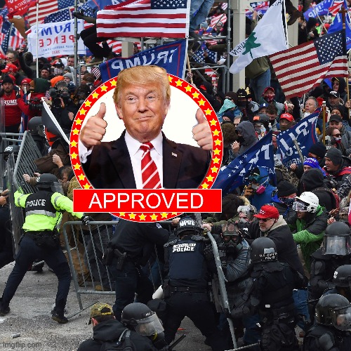 Trump Approves: Insurrection | image tagged in trump,insurrection,trump approves | made w/ Imgflip meme maker