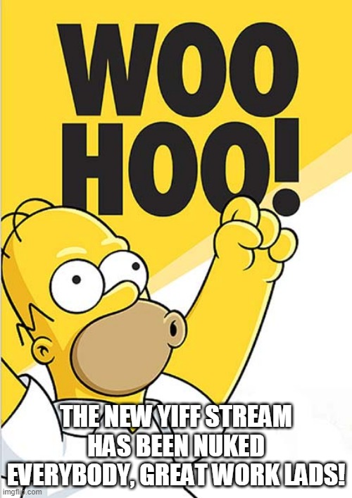 their skirmish against us was completely useless! | THE NEW YIFF STREAM HAS BEEN NUKED EVERYBODY, GREAT WORK LADS! | image tagged in homer woohoo | made w/ Imgflip meme maker