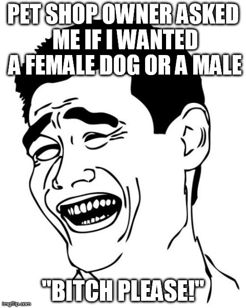 Yao Ming | PET SHOP OWNER ASKED ME IF I WANTED A FEMALE DOG OR A MALE "B**CH PLEASE!" | image tagged in memes,yao ming | made w/ Imgflip meme maker