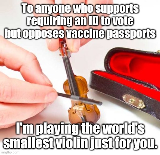 Tiny violin  | To anyone who supports requiring an ID to vote but opposes vaccine passports; I'm playing the world's smallest violin just for you. | image tagged in tiny violin | made w/ Imgflip meme maker