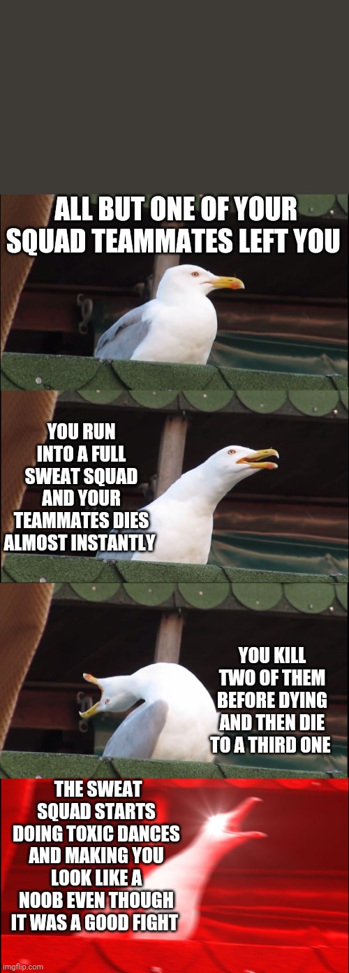 Please don't hate on me for playing fortnite | ALL BUT ONE OF YOUR SQUAD TEAMMATES LEFT YOU; YOU RUN INTO A FULL SWEAT SQUAD AND YOUR TEAMMATES DIES ALMOST INSTANTLY; YOU KILL TWO OF THEM BEFORE DYING AND THEN DIE TO A THIRD ONE; THE SWEAT SQUAD STARTS DOING TOXIC DANCES AND MAKING YOU LOOK LIKE A NOOB EVEN THOUGH IT WAS A GOOD FIGHT | image tagged in memes,inhaling seagull | made w/ Imgflip meme maker