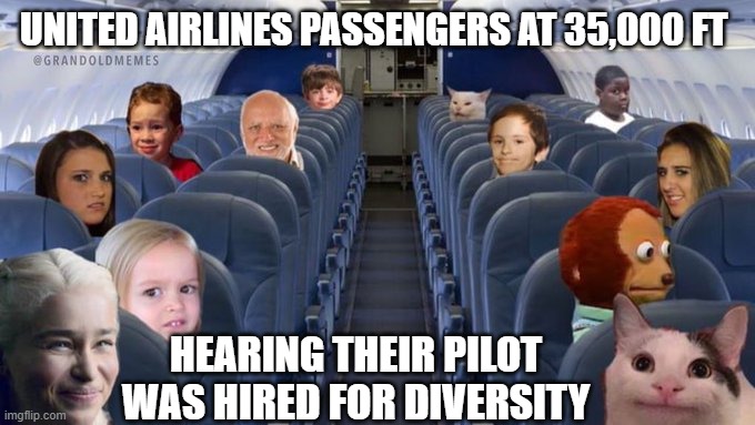 United Airlines Diversity | UNITED AIRLINES PASSENGERS AT 35,000 FT; HEARING THEIR PILOT WAS HIRED FOR DIVERSITY | image tagged in united airlines,diversity | made w/ Imgflip meme maker
