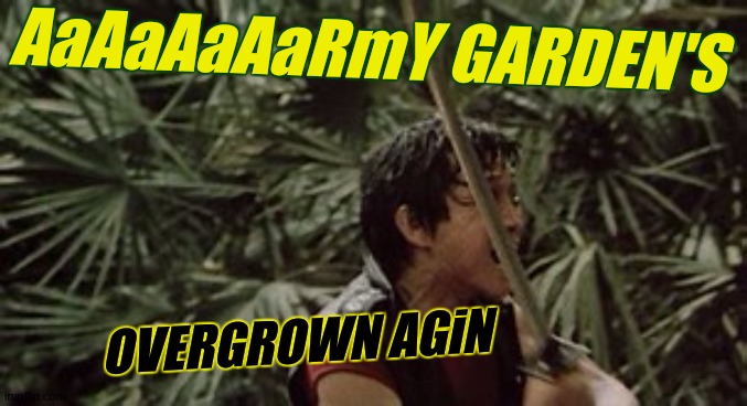 https://www.wired.com/2014/03/warka-water-africa/ | AaAaAaAaRmY GARDEN'S OVERGROWN AGiN | image tagged in armour,gideon,get me my sword rishi | made w/ Imgflip meme maker