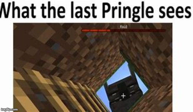 What the last pringle sees | image tagged in funny,minecraft | made w/ Imgflip meme maker
