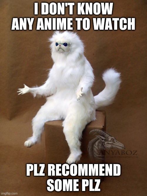 halp | I DON'T KNOW ANY ANIME TO WATCH; PLZ RECOMMEND SOME PLZ | image tagged in persian cat room guardian single | made w/ Imgflip meme maker