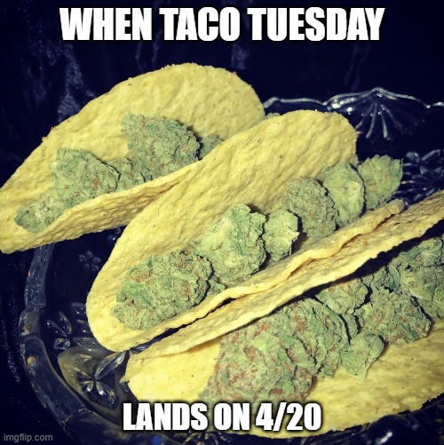 Taco Tuesday | WHEN TACO TUESDAY; LANDS ON 4/20 | image tagged in taco tuesday,420 | made w/ Imgflip meme maker