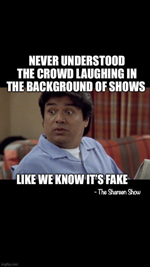 Tv shows | NEVER UNDERSTOOD THE CROWD LAUGHING IN THE BACKGROUND OF SHOWS; LIKE WE KNOW IT’S FAKE; - The Shareen Show | image tagged in netflix,memes,funny memes | made w/ Imgflip meme maker