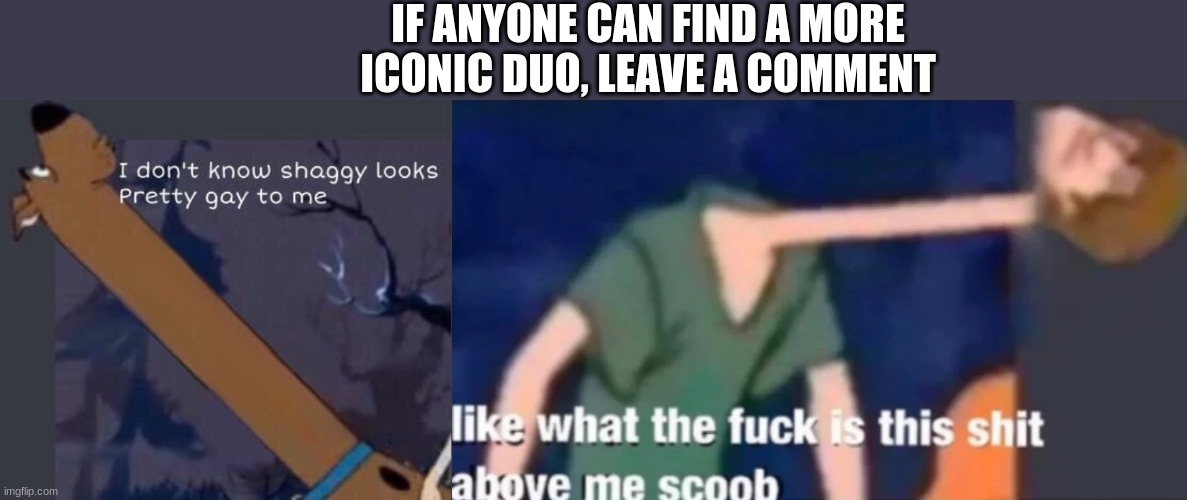 IF ANYONE CAN FIND A MORE ICONIC DUO, LEAVE A COMMENT | image tagged in i dont know shaggy looks pretty gay to me,like what the f ck is this sh t above me scoob | made w/ Imgflip meme maker