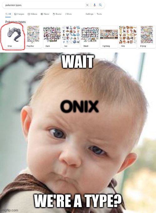 WAIT; ONIX; WE'RE A TYPE? | image tagged in memes,skeptical baby,pokemon | made w/ Imgflip meme maker