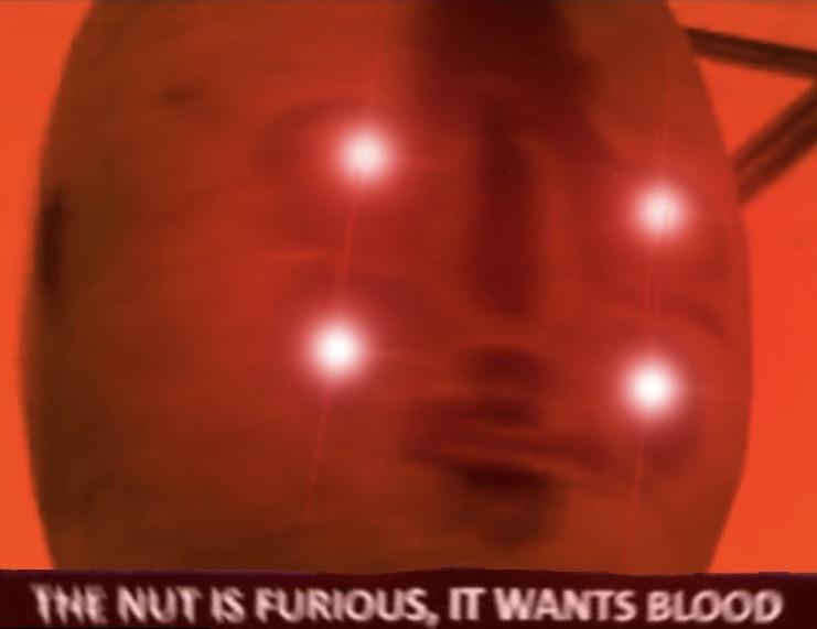 High Quality The nut is furious it wants blood Blank Meme Template