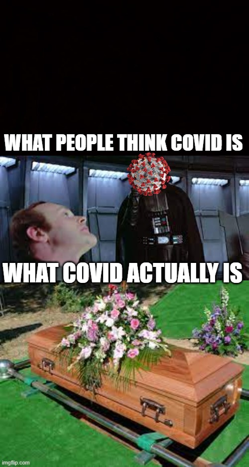 WHAT PEOPLE THINK COVID IS; WHAT COVID ACTUALLY IS | image tagged in wide black blank meme template | made w/ Imgflip meme maker