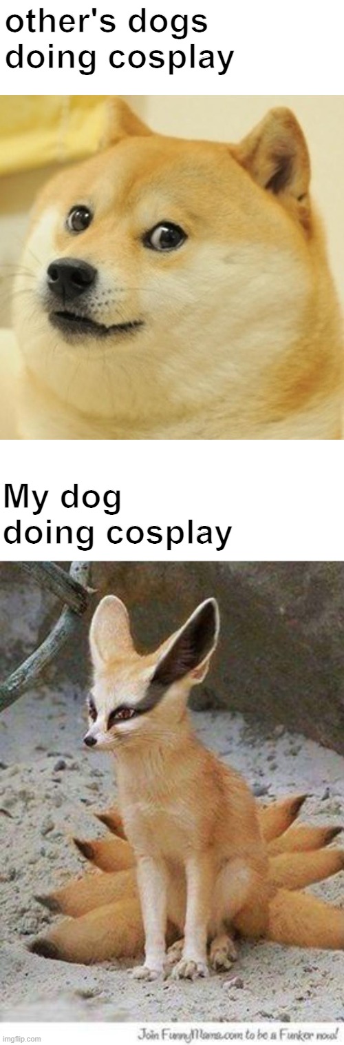 other's dogs doing cosplay; My dog doing cosplay | image tagged in memes,doge,naruto | made w/ Imgflip meme maker